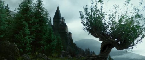 Click to view full size image
==============
PdA-Potterish_8010.jpg PdA-Potterish_8010.jpg