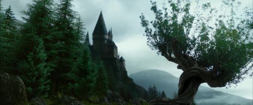 PdA-Potterish_8012.jpg