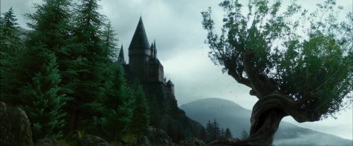 PdA-Potterish_8013.jpg