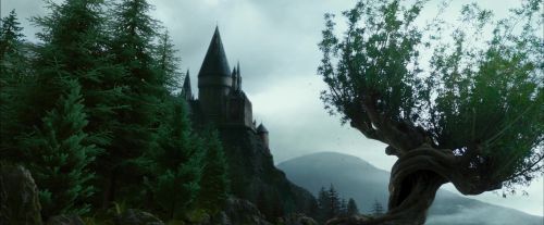 PdA-Potterish_8014.jpg