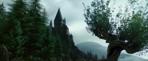 Click to view full size image
==============
PdA-Potterish_8015.jpg PdA-Potterish_8015.jpg