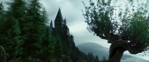 PdA-Potterish_8016.jpg