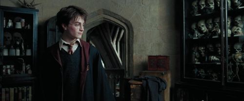 PdA-Potterish_8094.jpg