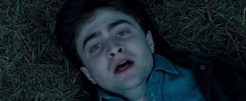 Potterish-RdMPreviaScream-223.jpg