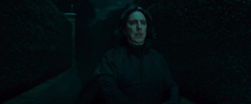 Potterish-RdMPreviaScream-22~0.jpg