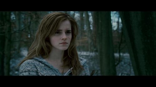Click to view full size image
==============
Potterish-RdMRetrospectiva-172.jpg Potterish-RdMRetrospectiva-172.jpg