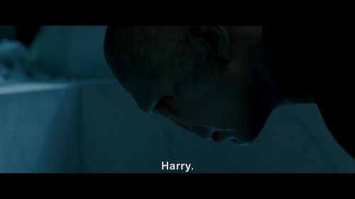 Click to view full size image
==============
Potterish-RdMRetrospectiva-210.jpg Potterish-RdMRetrospectiva-210.jpg
