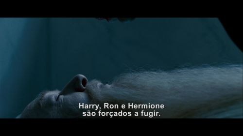 Click to view full size image
==============
Potterish-RdMRetrospectiva-212.jpg Potterish-RdMRetrospectiva-212.jpg