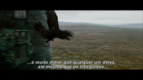 Click to view full size image
==============
Potterish-RdMRetrospectiva-238.jpg Potterish-RdMRetrospectiva-238.jpg