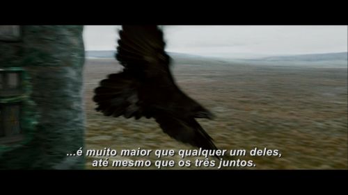 Potterish-RdMRetrospectiva-239.jpg