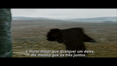 Potterish-RdMRetrospectiva-240.jpg