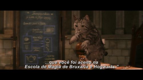 Potterish-RdMRetrospectiva-32.jpg