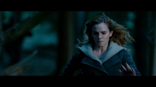 Potterish-RdMRetrospectiva-320.jpg