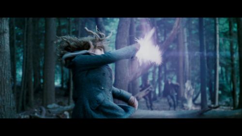 Click to view full size image
==============
Potterish-RdMRetrospectiva-321.jpg Potterish-RdMRetrospectiva-321.jpg