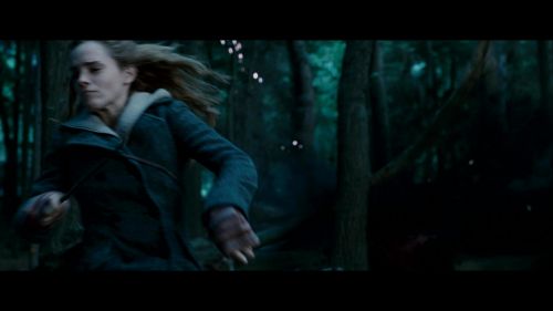 Click to view full size image
==============
Potterish-RdMRetrospectiva-322.jpg Potterish-RdMRetrospectiva-322.jpg