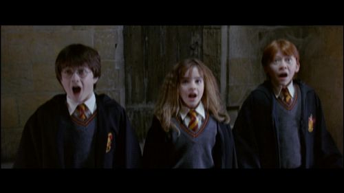 Potterish-RdMRetrospectiva-35.jpg