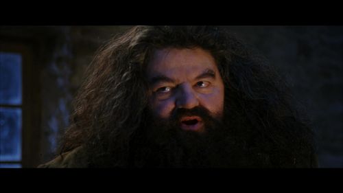 Potterish-RdMRetrospectiva-5.jpg