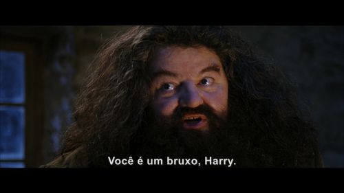 Click to view full size image
==============
Potterish-RdMRetrospectiva-6.jpg Potterish-RdMRetrospectiva-6.jpg