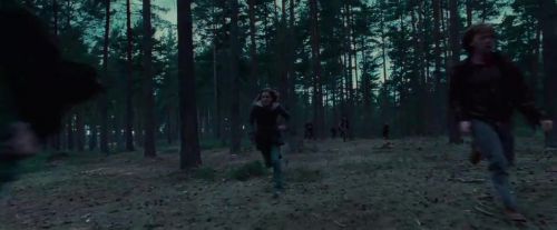 Potterish-RdMTVSpot2-114.jpg