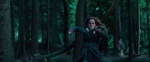 Potterish-RdMTVSpot2-118.jpg