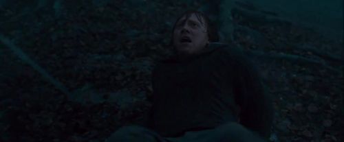 Click to view full size image
==============
Potterish-RdMTVSpot2-188.jpg Potterish-RdMTVSpot2-188.jpg