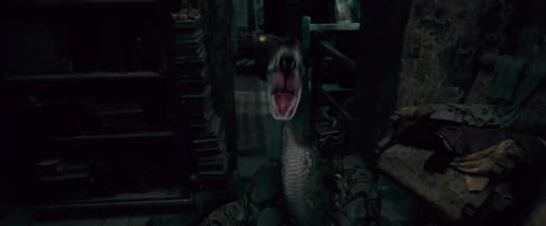 Potterish-RdMTVSpot4-135.jpg