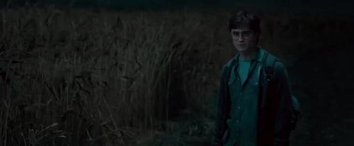 Potterish-RdMTVSpot4-171.jpg