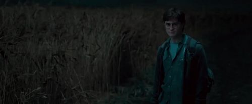 Potterish-RdMTVSpot4-172.jpg