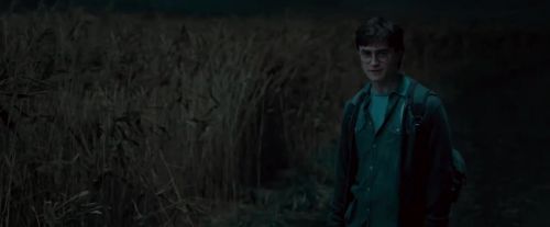 Potterish-RdMTVSpot4-173.jpg