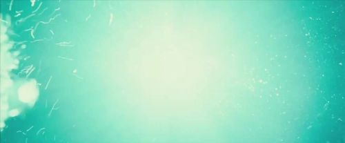 Potterish-RdMTVSpot5-102.jpg