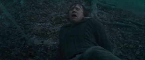 Click to view full size image
==============
Potterish-RdMTVSpot5-39.jpg Potterish-RdMTVSpot5-39.jpg