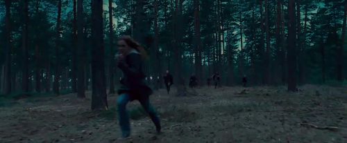 Potterish-RdMTVSpot6-76.jpg
