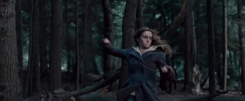 Click to view full size image
==============
Potterish-RdMTVSpot6-79.jpg Potterish-RdMTVSpot6-79.jpg