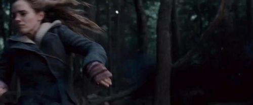 Click to view full size image
==============
Potterish-RdMTVSpot6-83.jpg Potterish-RdMTVSpot6-83.jpg
