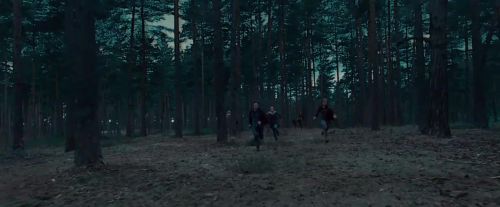 Potterish-RdMTVSpot7-79.jpg