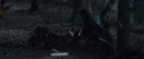 Click to view full size image
==============
Potterish-RdMTVSpot8-74.jpg Potterish-RdMTVSpot8-74.jpg