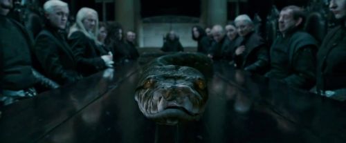 Potterish-RdMTVSpot9-143.jpg