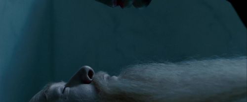 Potterish-RdMTrailerParte1-103.jpg