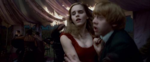 Potterish-RdMTrailerParte1-1036.jpg
