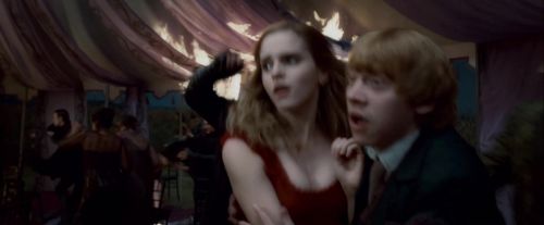Potterish-RdMTrailerParte1-1037.jpg