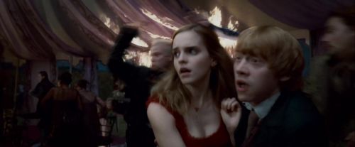 Potterish-RdMTrailerParte1-1039.jpg