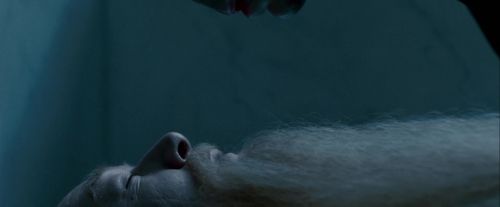 Potterish-RdMTrailerParte1-104.jpg