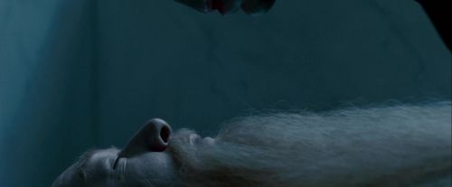 Potterish-RdMTrailerParte1-105.jpg