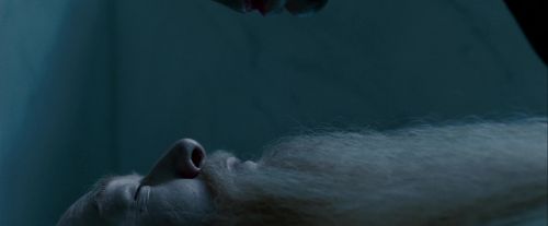 Potterish-RdMTrailerParte1-108.jpg