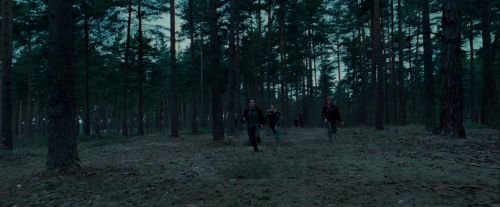 Potterish-RdMTrailerParte1-1130.jpg