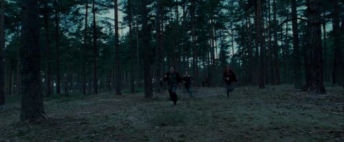 Potterish-RdMTrailerParte1-1131.jpg