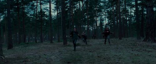 Click to view full size image
==============
Potterish-RdMTrailerParte1-1133.jpg Potterish-RdMTrailerParte1-1133.jpg