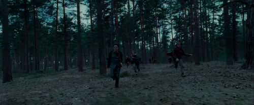 Potterish-RdMTrailerParte1-1134.jpg