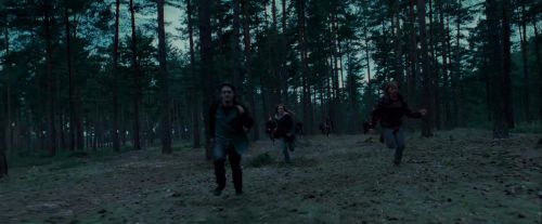 Potterish-RdMTrailerParte1-1136.jpg