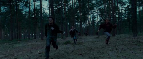 Potterish-RdMTrailerParte1-1137.jpg